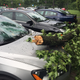 Illustration for article titled Crazy weather + trees + dealer lot = this...